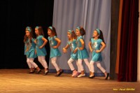 /album/tanecna-show-2009/img-9382-jpg/